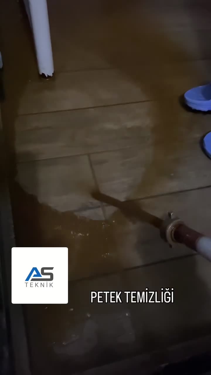 Petek temizliği videosu
